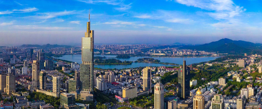 樟树-首屏背景图